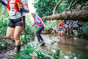 BIB: 
                            <button type="button" onclick="openModal(25514291)" class="btn btn-primary btn-sm float-right btn-popup" data-toggle="modal" data-target=".modal-high-quality">
                        <i class="fas fa-shopping-cart"></i> Add to Cart
                    </button>
                                            <button type="button" onclick="isThisMe(25514291, true)" class="btn btn-success btn-sm float-right btn-popup btn-isme hidden" data-toggle="tooltip" data-placement="bottom" title="นี่คือรูปของคุณใช่ไหม คลิกที่นี่เพื่อเอาเข้าอัลบั้ม">
                        <i class="fas fa-plus"></i> Add to album
                    </button>
                    <button type="button" onclick="isThisMe(25514291, false)" class="btn btn-warning btn-sm float-right btn-popup btn-isnotme hidden">
                        <i class="fas fa-ban"></i> Remove from album
                    </button>